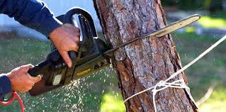 Best Lawn Maintenance Plans  in Yuipa, CA